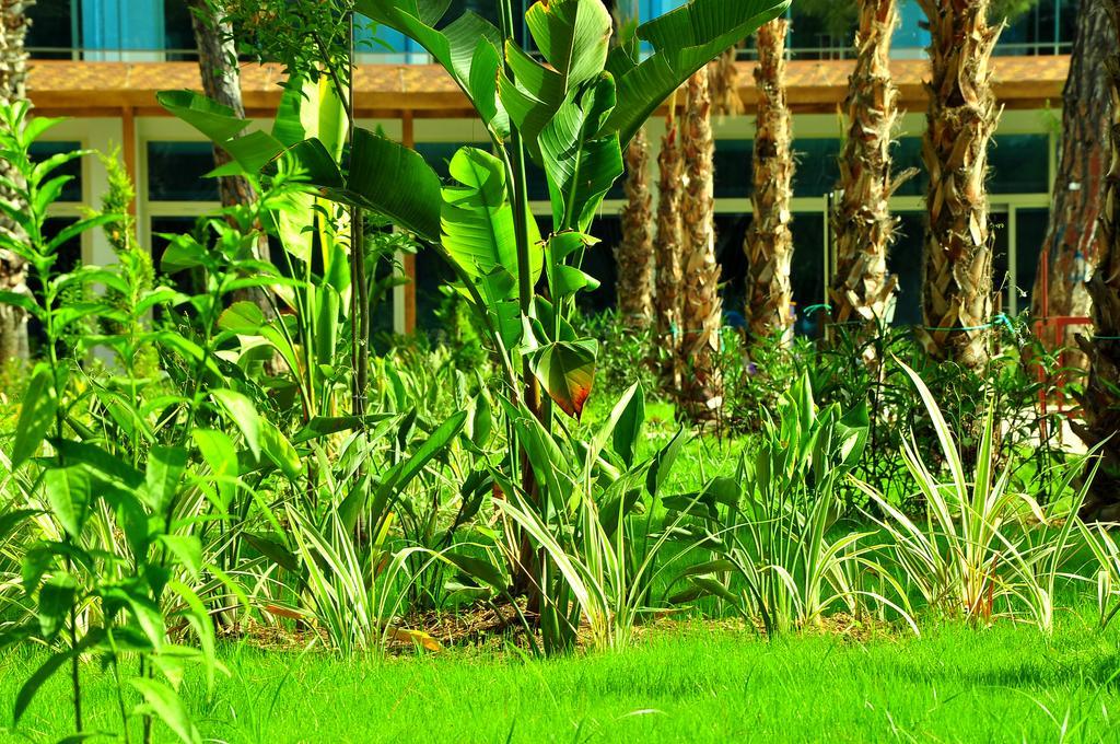 Maya World Hotel All Inclusive سيدي المظهر الخارجي الصورة